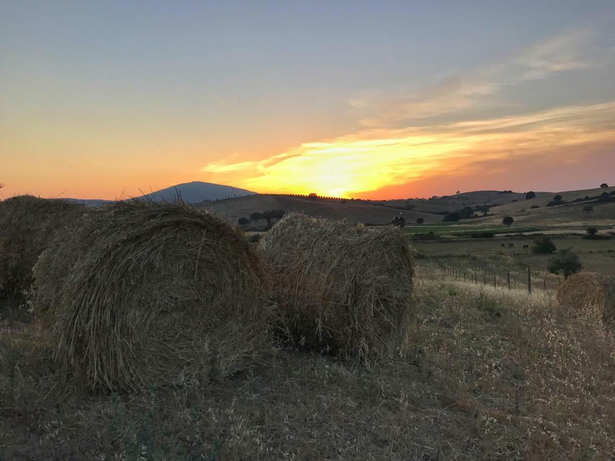 Macchiabuia Panzió Capalbio Kültér fotó